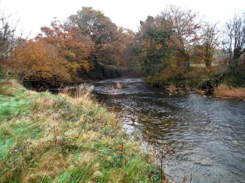 Upper Irfon at Melyn Cildu